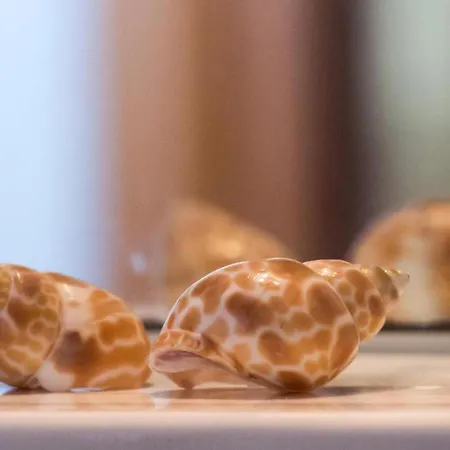 Manoleas - 6 Stoúpa